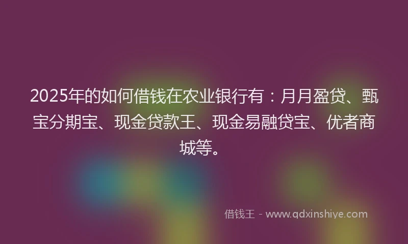 2025年的如何借钱在农业银行有：月月盈贷、甄宝分期宝、现金贷款王、现金易融贷宝、优者商城等。