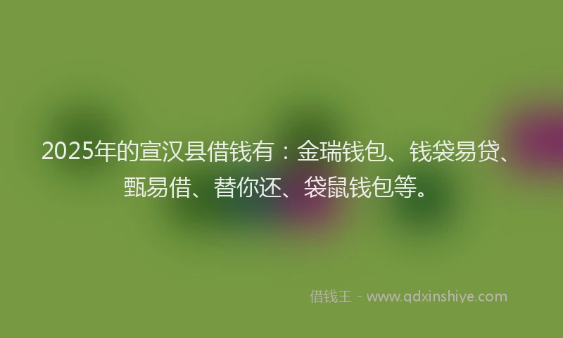 2025年的宣汉县借钱有：金瑞钱包、钱袋易贷、甄易借、替你还、袋鼠钱包等。