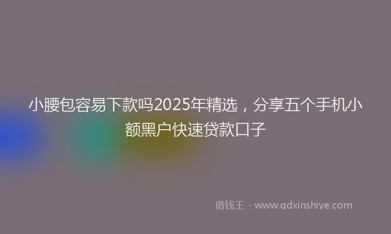 小腰包容易下款吗2025年精选，分享五个手机小额黑户快速贷款口子