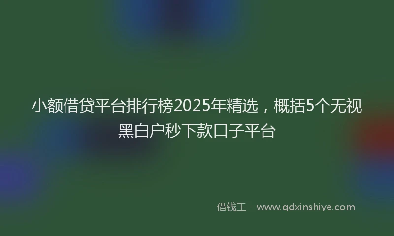 小额借贷平台排行榜2025年精选，概括5个无视黑白户秒下款口子平台
