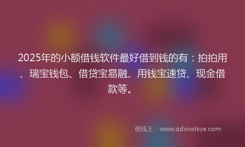 2025年的小额借钱软件最好借到钱的有：拍拍用、瑞宝钱包、借贷宝易融、用钱宝速贷、现金借款等。