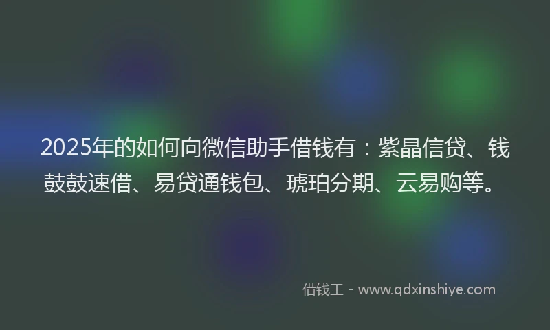 2025年的如何向微信助手借钱有：紫晶信贷、钱鼓鼓速借、易贷通钱包、琥珀分期、云易购等。