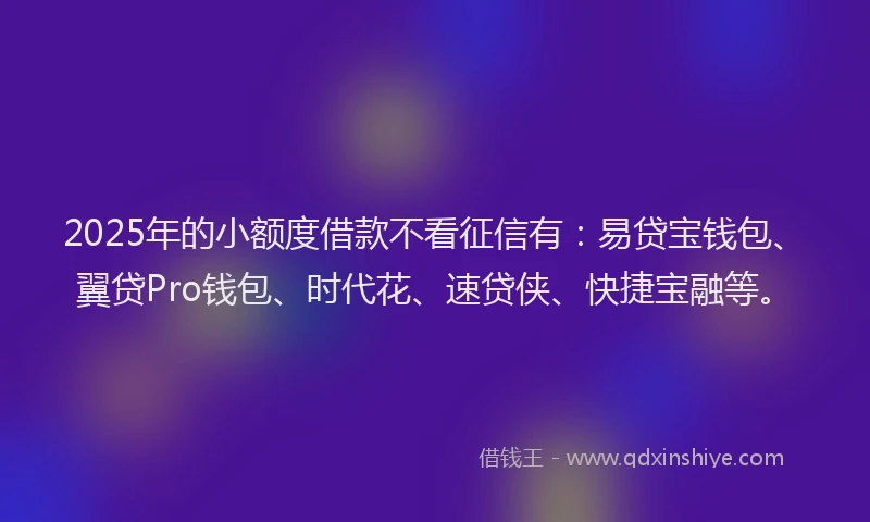2025年的小额度借款不看征信有：易贷宝钱包、翼贷Pro钱包、时代花、速贷侠、快捷宝融等。