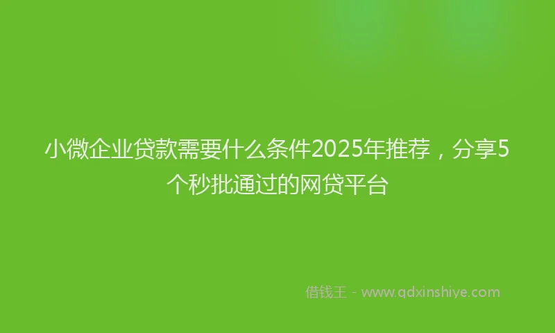 小微企业贷款需要什么条件2025年推荐，分享5个秒批通过的网贷平台