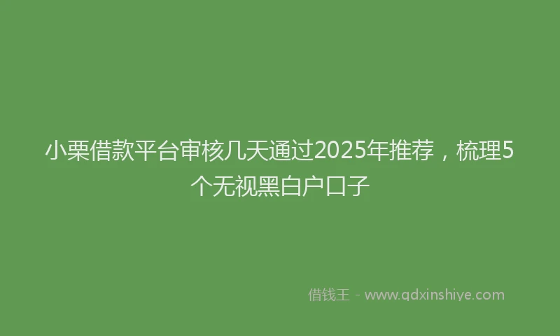 小栗借款平台审核几天通过2025年推荐，梳理5个无视黑白户口子