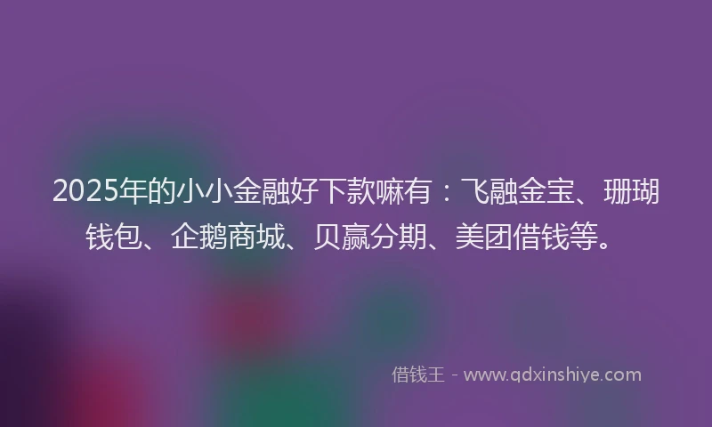 2025年的小小金融好下款嘛有：飞融金宝、珊瑚钱包、企鹅商城、贝赢分期、美团借钱等。