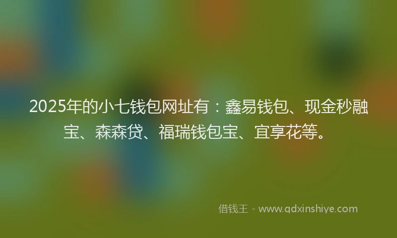 2025年的小七钱包网址有：鑫易钱包、现金秒融宝、森森贷、福瑞钱包宝、宜享花等。
