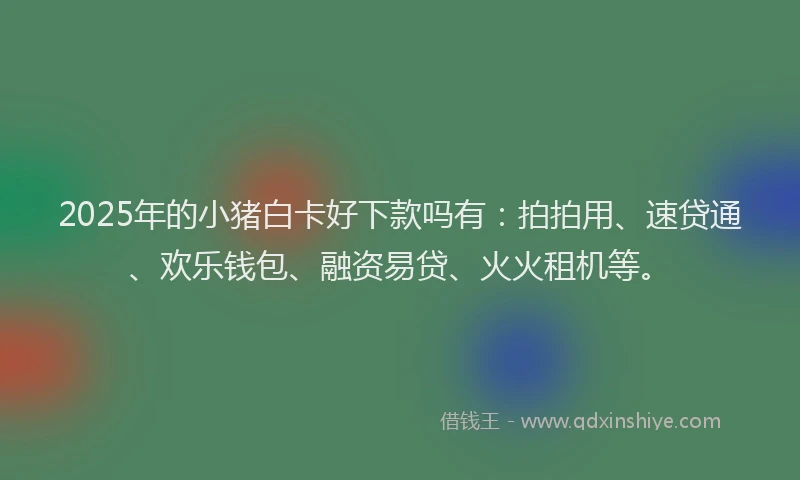 2025年的小猪白卡好下款吗有：拍拍用、速贷通、欢乐钱包、融资易贷、火火租机等。
