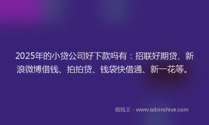 2025年的小贷公司好下款吗有：招联好期贷、新浪微博借钱、拍拍贷、钱袋快借通、新一花等。