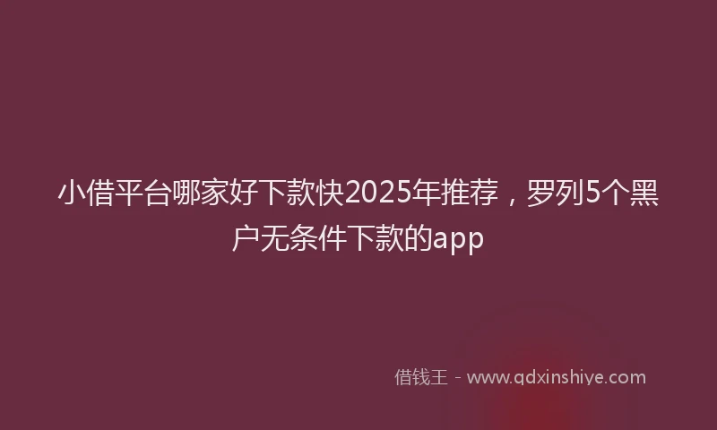 小借平台哪家好下款快2025年推荐，罗列5个黑户无条件下款的app