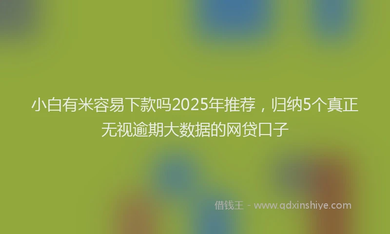 小白有米容易下款吗2025年推荐,归纳5个真正无视逾期大数据的网贷口子