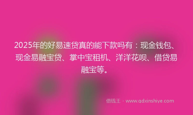 2025年的好易速贷真的能下款吗有：现金钱包、现金易融宝贷、掌中宝租机、洋洋花呗、借贷易融宝等。
