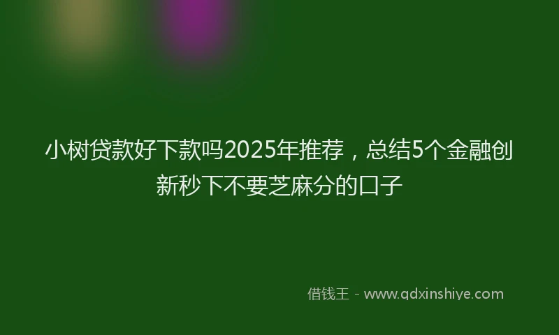 小树贷款好下款吗2025年推荐，总结5个金融创新秒下不要芝麻分的口子
