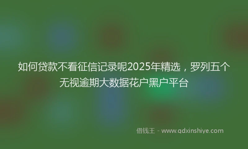如何贷款不看征信记录呢2025年精选，罗列五个无视逾期大数据花户黑户平台