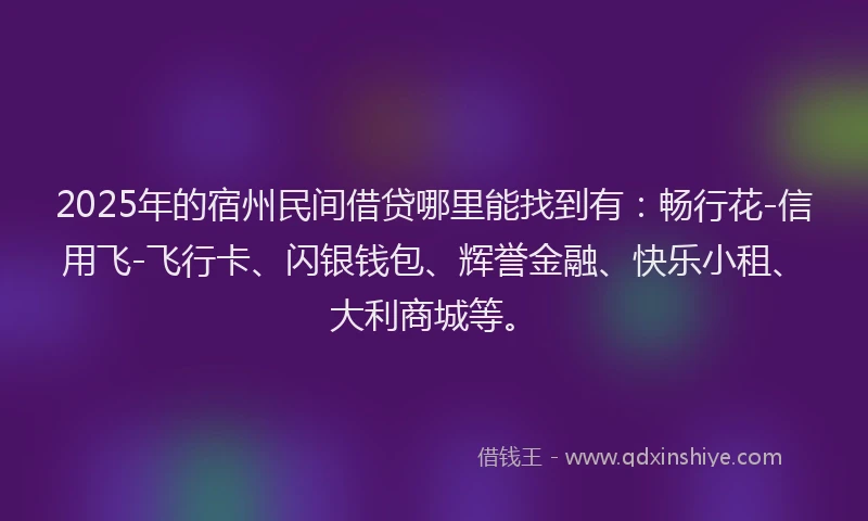 2025年的宿州民间借贷哪里能找到有：畅行花-信用飞-飞行卡、闪银钱包、辉誉金融、快乐小租、大利商城等。