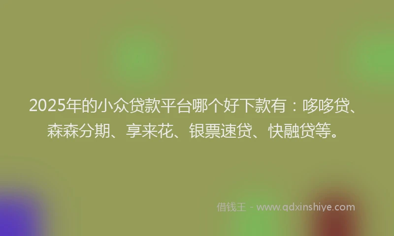 2025年的小众贷款平台哪个好下款有：哆哆贷、森森分期、享来花、银票速贷、快融贷等。