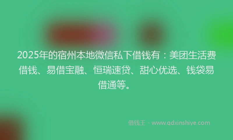 2025年的宿州本地微信私下借钱有：美团生活费借钱、易借宝融、恒瑞速贷、甜心优选、钱袋易借通等。