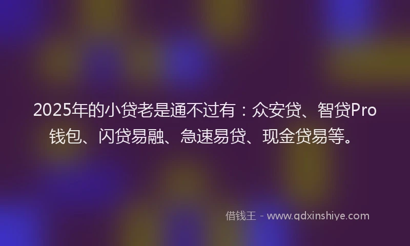 2025年的小贷老是通不过有：众安贷、智贷Pro钱包、闪贷易融、急速易贷、现金贷易等。