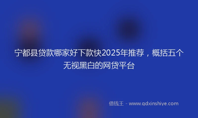 宁都县贷款哪家好下款快2025年推荐，概括五个无视黑白的网贷平台