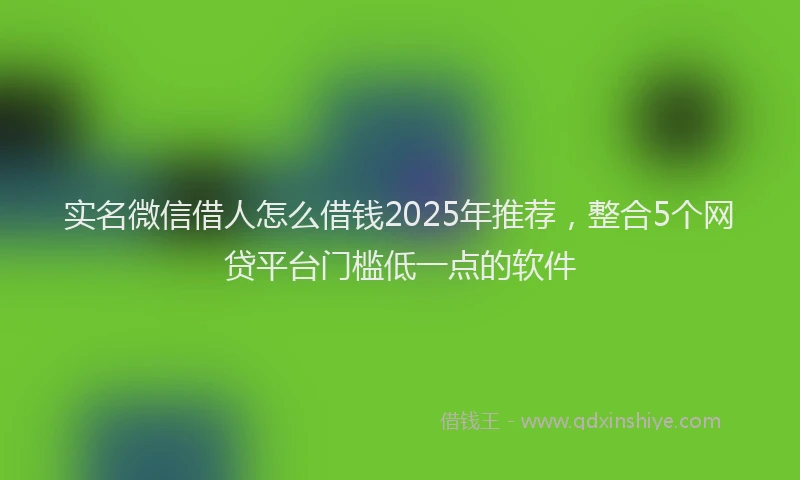 实名微信借人怎么借钱2025年推荐，整合5个网贷平台门槛低一点的软件