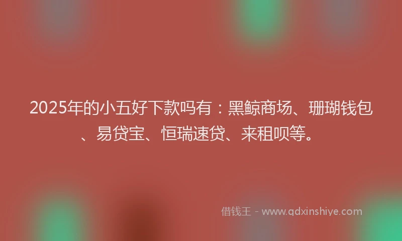 2025年的小五好下款吗有：黑鲸商场、珊瑚钱包、易贷宝、恒瑞速贷、来租呗等。