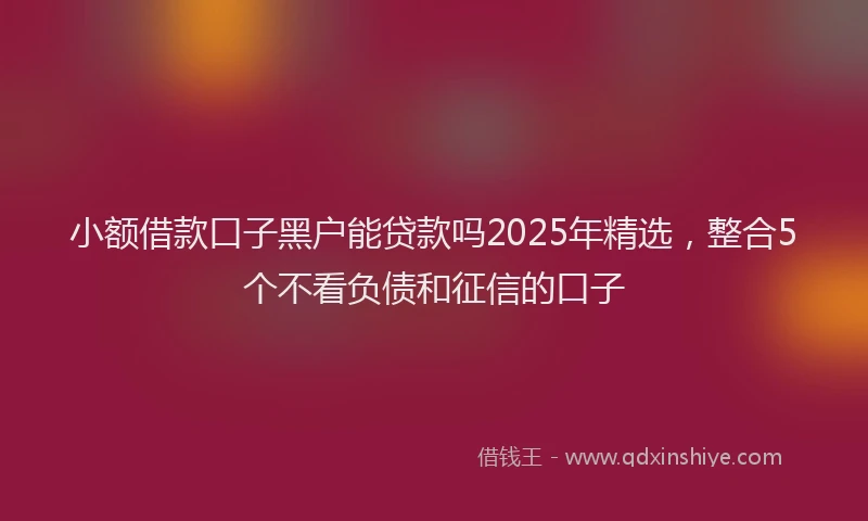 小额借款口子黑户能贷款吗2025年精选，整合5个不看负债和征信的口子