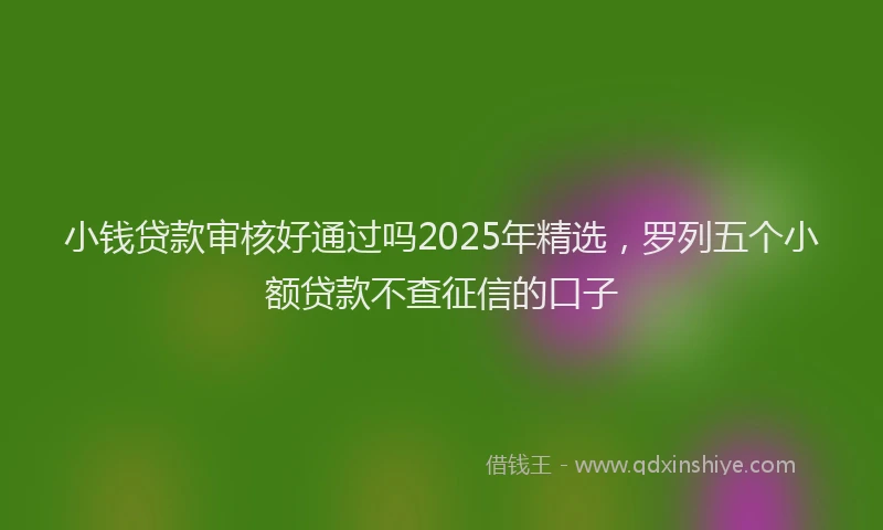 小钱贷款审核好通过吗2025年精选，罗列五个小额贷款不查征信的口子