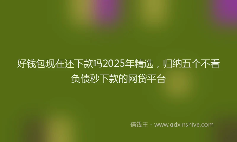 好钱包现在还下款吗2025年精选，归纳五个不看负债秒下款的网贷平台