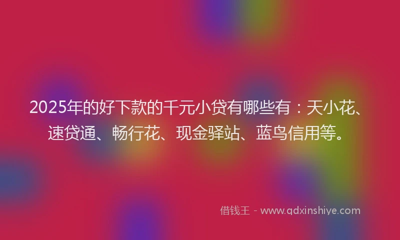 2025年的好下款的千元小贷有哪些有：天小花、速贷通、畅行花、现金驿站、蓝鸟信用等。