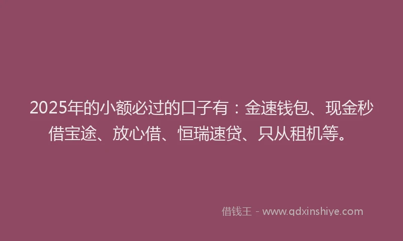 2025年的小额必过的口子有：金速钱包、现金秒借宝途、放心借、恒瑞速贷、只从租机等。