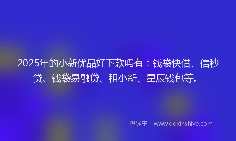 2025年的小新优品好下款吗有：钱袋快借、信秒贷、钱袋易融贷、租小新、星辰钱包等。