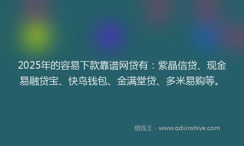 2025年的容易下款靠谱网贷有：紫晶信贷、现金易融贷宝、快鸟钱包、金满堂贷、多米易购等。