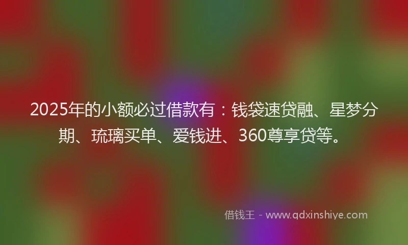 2025年的小额必过借款有：钱袋速贷融、星梦分期、琉璃买单、爱钱进、360尊享贷等。