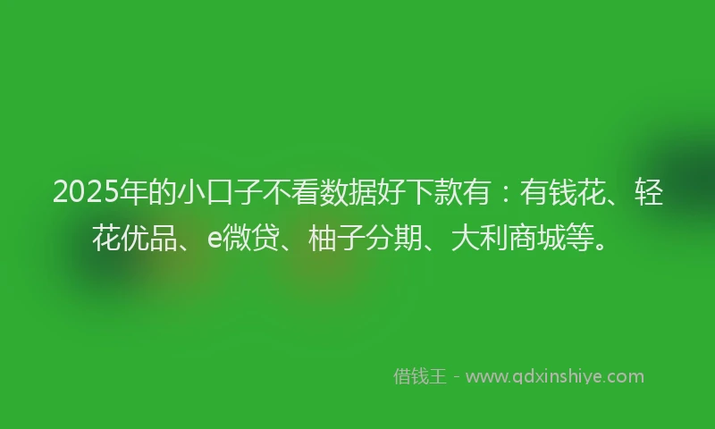 2025年的小口子不看数据好下款有：有钱花、轻花优品、e微贷、柚子分期、大利商城等。