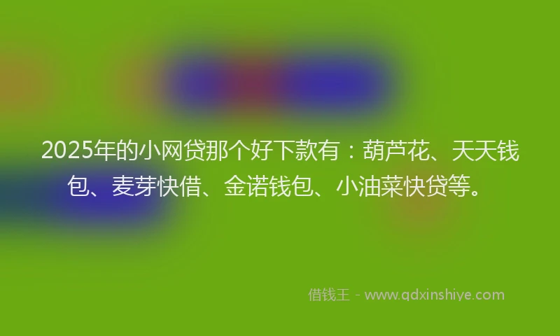 2025年的小网贷那个好下款有：葫芦花、天天钱包、麦芽快借、金诺钱包、小油菜快贷等。