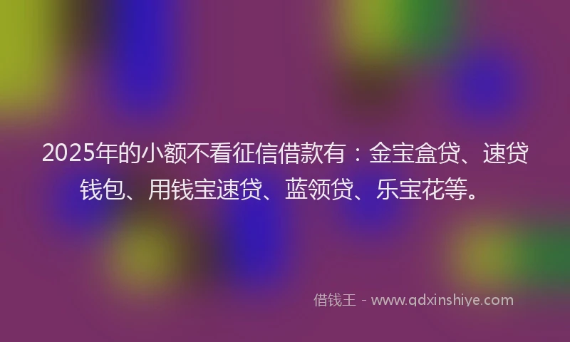 2025年的小额不看征信借款有：金宝盒贷、速贷钱包、用钱宝速贷、蓝领贷、乐宝花等。
