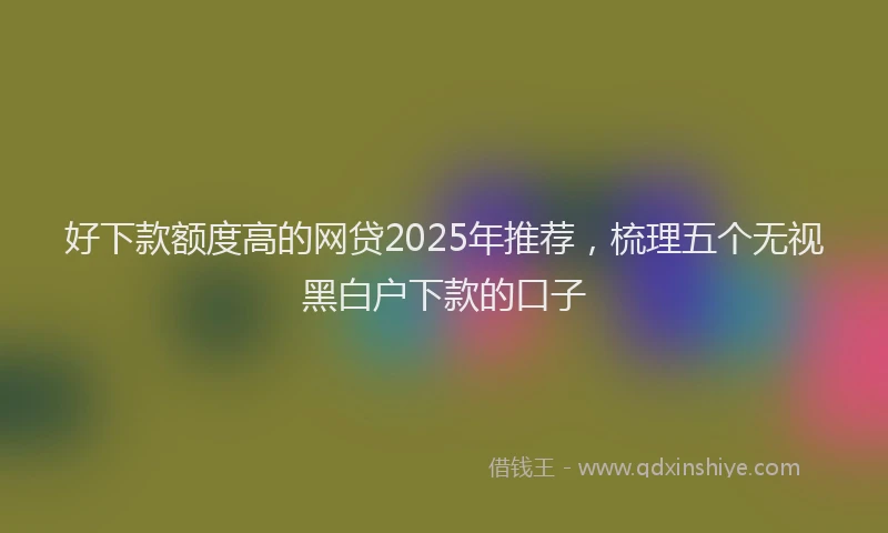 好下款额度高的网贷2025年推荐，梳理五个无视黑白户下款的口子