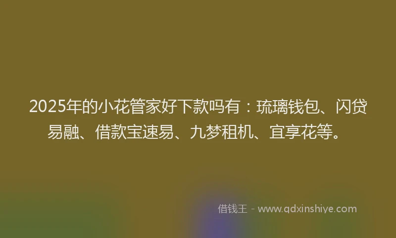 2025年的小花管家好下款吗有：琉璃钱包、闪贷易融、借款宝速易、九梦租机、宜享花等。