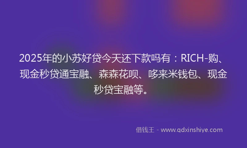 2025年的小苏好贷今天还下款吗有：RICH-购、现金秒贷通宝融、森森花呗、哆来米钱包、现金秒贷宝融等。