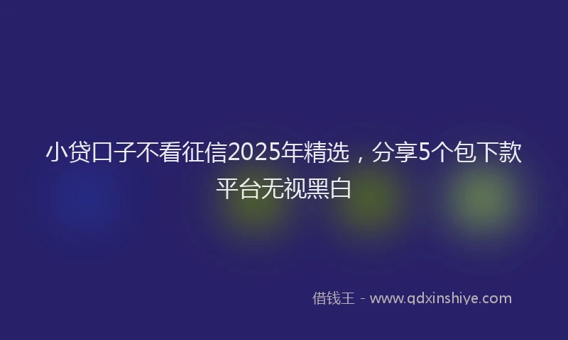 小贷口子不看征信2025年精选，分享5个包下款平台无视黑白