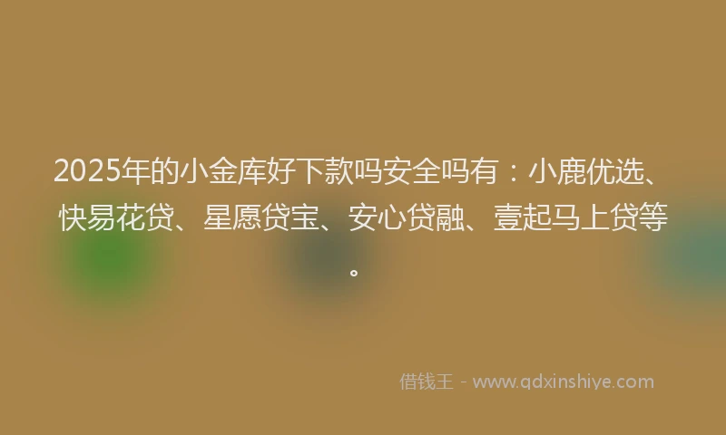 2025年的小金库好下款吗安全吗有：小鹿优选、快易花贷、星愿贷宝、安心贷融、壹起马上贷等。