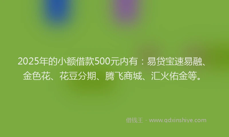 2025年的小额借款500元内有：易贷宝速易融、金色花、花豆分期、腾飞商城、汇火佑金等。