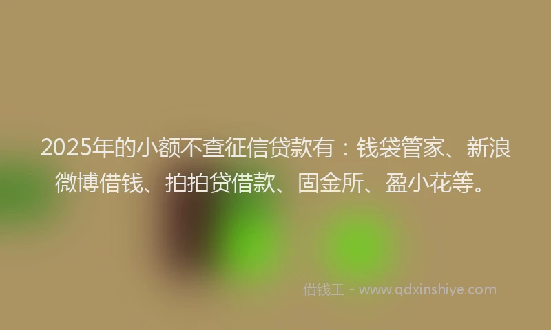 2025年的小额不查征信贷款有：钱袋管家、新浪微博借钱、拍拍贷借款、固金所、盈小花等。