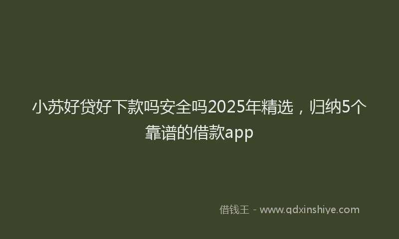 小苏好贷好下款吗安全吗2025年精选，归纳5个靠谱的借款app