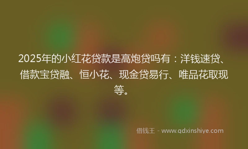 2025年的小红花贷款是高炮贷吗有：洋钱速贷、借款宝贷融、恒小花、现金贷易行、唯品花取现等。