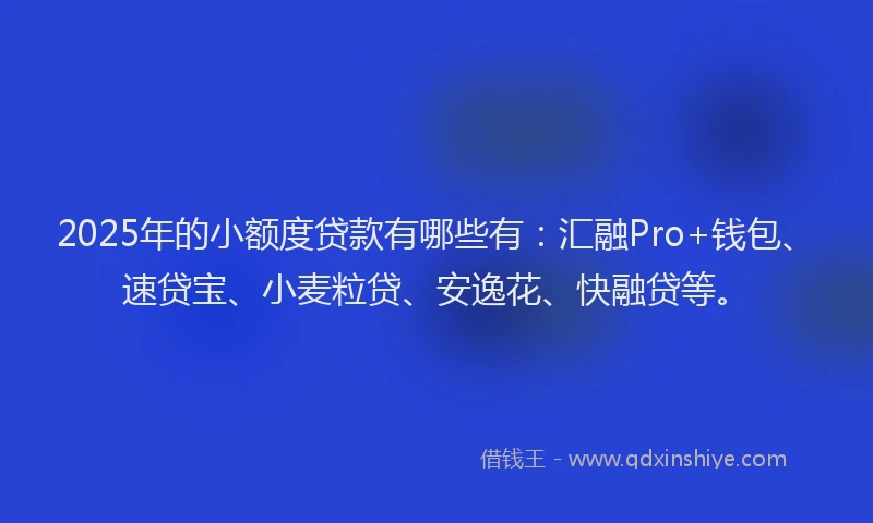2025年的小额度贷款有哪些有：汇融Pro+钱包、速贷宝、小麦粒贷、安逸花、快融贷等。