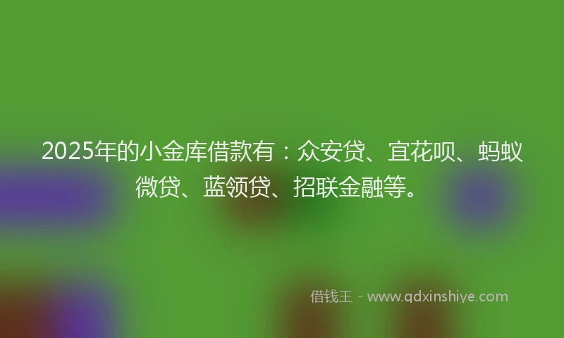 2025年的小金库借款有：众安贷、宜花呗、蚂蚁微贷、蓝领贷、招联金融等。