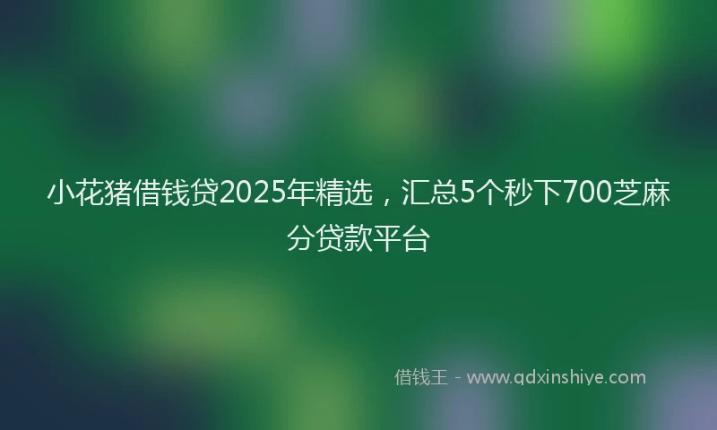 小花猪借钱贷2025年精选，汇总5个秒下700芝麻分贷款平台