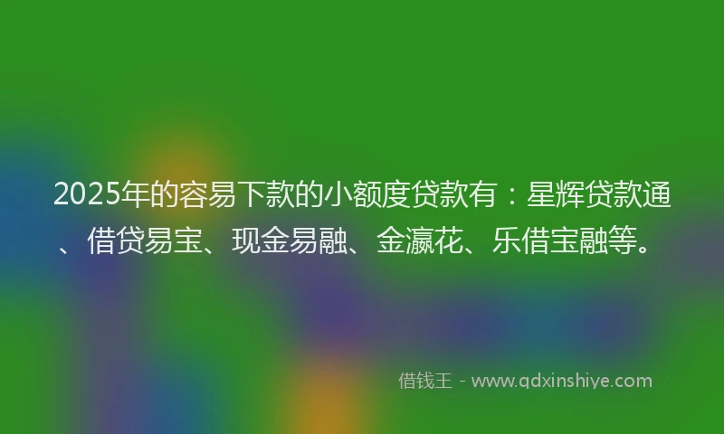 2025年的容易下款的小额度贷款有：星辉贷款通、借贷易宝、现金易融、金瀛花、乐借宝融等。