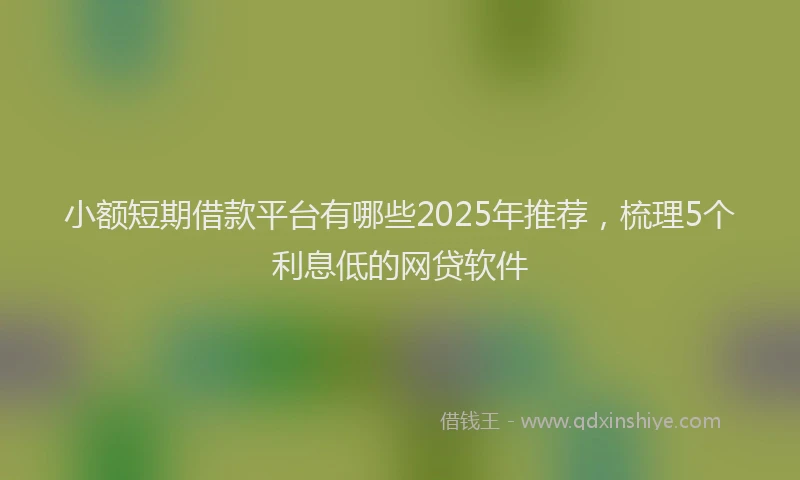 小额短期借款平台有哪些2025年推荐，梳理5个利息低的网贷软件